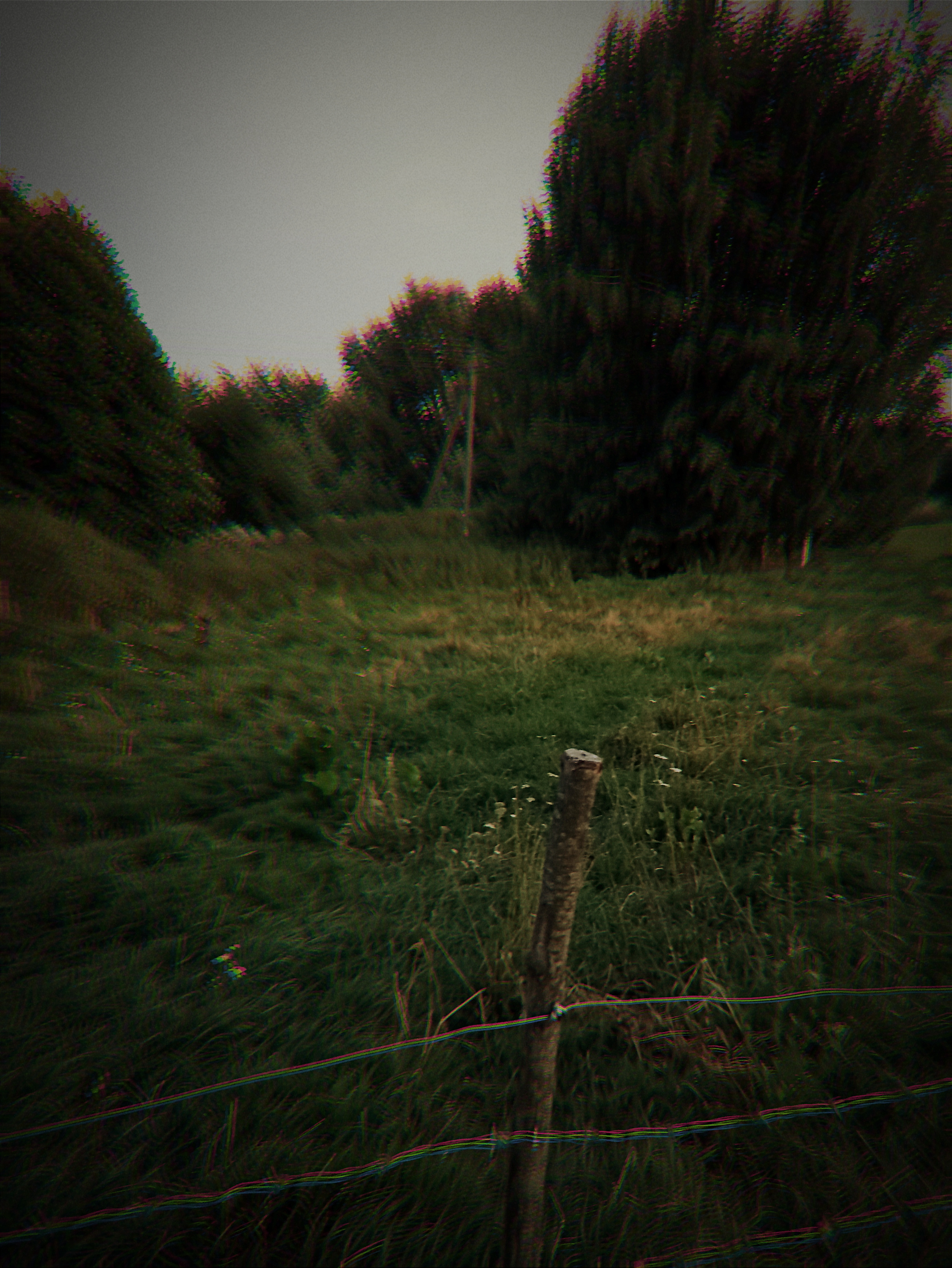 Barbed Wire Fence